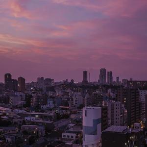 ㊙️黄wwe喷奶无码裸体视频
