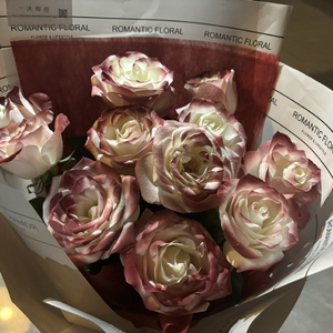 ㊙️黄wwe喷奶无码裸体视频
